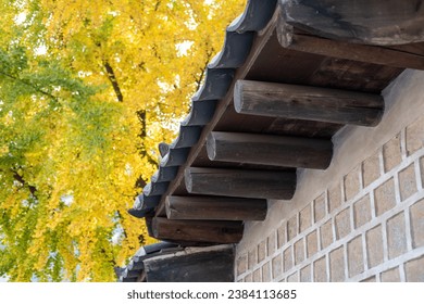 草裙社区精品视频三区