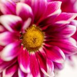 2019年天射日哪一天 1wgyv