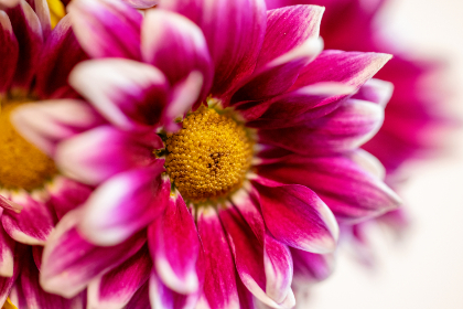 2019年天射日哪一天