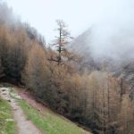 2012中文字幕免费视频 2zn0zp9h