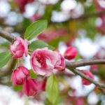 加勒比久久综合久久鬼色88 3o225e8ooa