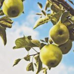 制服丝袜在线中文字幕 4iyru721