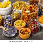 2019天天看夜夜看www 53bua89y