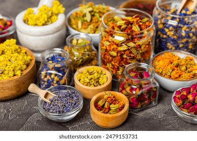 2019天天看夜夜看www