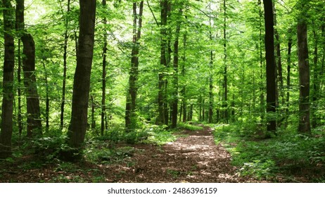 2019欧美hd+en.vidmo.org