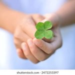 大陆年轻小帅露脸19MIN 6cu9decy61