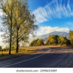 0855午夜福利150集在线看 9cmiz