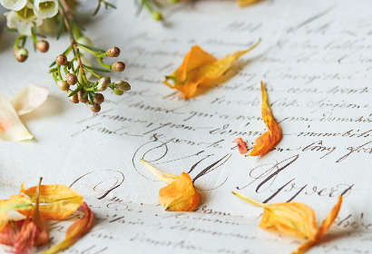 加勒比一本大道香蕉大在线