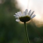 18gboy同志chinese cji5e26