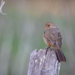 2019午夜福利 hca9ks5