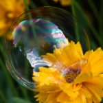 草莓视频在线下载app免费观看 s3f1p