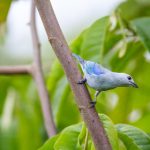 2019国自产拍 t7zc9