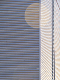 2019朝国免费理论