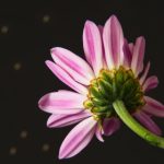 抽搐一进一出gif试看体验区 zog2kio2u