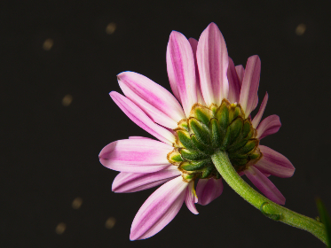 抽搐一进一出gif试看体验区 抽搐一进一出gif试看体验区