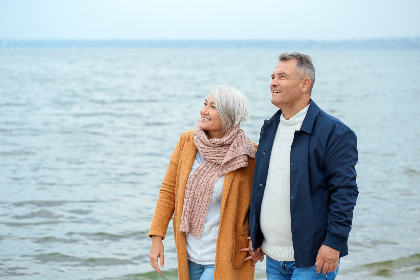 全面解析网站导航入口：你需要了解的网址推荐