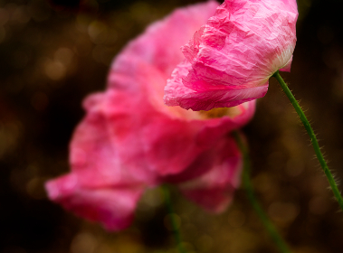 压缩文件密码破解器：轻松破解各种格式压缩文件密码的方法与技巧