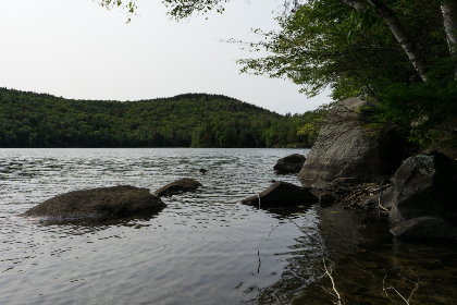 如何快速找到高质量的日本字幕下载资源