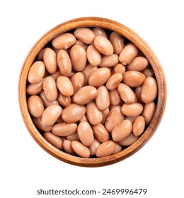 唐诗宋词1000首：领略千年文化瑰宝的诗词之美