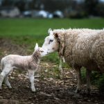 影视大全官网官网:全面解析影视资源,畅享精彩视听盛宴 9m22e