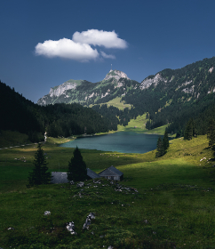 催眠治愈漫画在线阅读：探索心灵深处的治愈之旅与奇幻冒险