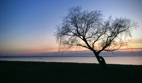 如何在GitHub中文社区中下载文件的详细步骤与技巧