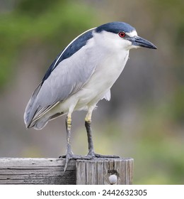 如何成为一名成功的漫画创作者：从构思到出版的全流程指南