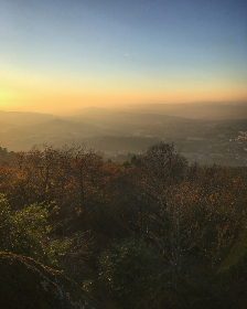 初恋时间魔都：在繁华都市中追寻那段青涩的爱情记忆