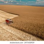 影视工厂下载:轻松获取最新影视资源的最佳选择 mibs0c7o6