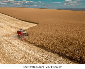 影视工厂下载：轻松获取最新影视资源的最佳选择