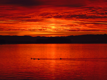 如何在Google Play上找到最优质的英语学习应用