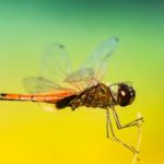 吃瓜网 暗网吃瓜:揭秘网络背后的秘密与真相 ndcu4