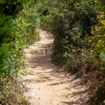 怎么找91网站:详细步骤与技巧分享,让你轻松找到所需内容 o1uj1yk