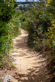 怎么找91网站：详细步骤与技巧分享，让你轻松找到所需内容