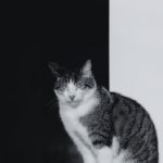 吃瓜爆料黑料不打烊:漫画背后的秘密与真相 tm9epaz2j