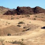 寄宿日记完整版免费在线观看:探索青春的秘密与成长 y4rf1