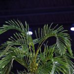 宣宣影视 2022:探索影视新趋势与热门作品推荐 zqqe85u51