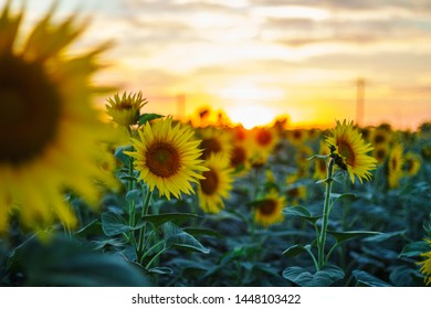 探索cl.5252x xyz酒店的独特魅力与奢华体验