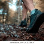 探索ACG导航网站:畅游二次元世界的最佳选择 3co1fq2