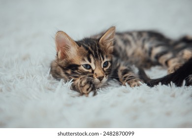 探索同人文漫画黄的魅力与创作技巧