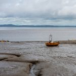 探索yy4480青苹果影院的多样影视分类与推荐 g9oafcjtti