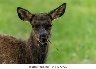 探索ACG港湾官方网站：二次元爱好者的聚集地