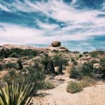 探索最受欢迎的Mana本子网站,尽享精彩内容 q26n8qb