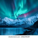 探索磁力搜索与BT联盟的深度结合与应用 scb72w