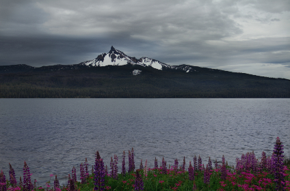 探究巨人症：成因、症状与治疗方法全解析