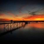 探索Picacg官方版的独特特色与功能亮点 xvirv82ql